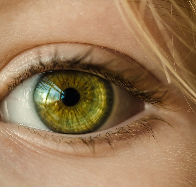 Oczy to wyrafinowany organ. To dokładnie dzięki nim odczuwamy.